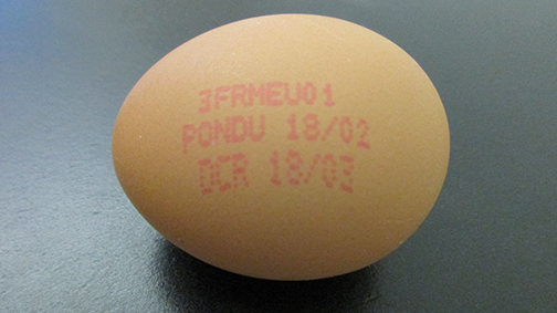 Oeuf vrac (+73Gx200)