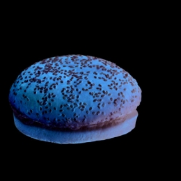 Pain geant special hamburger 85 g HARRYS x30