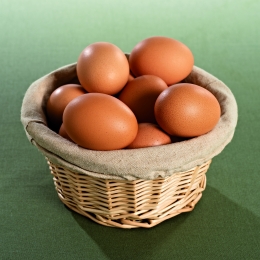 Oeuf Alveole Moyen 53/63G (X180)