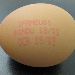 Oeuf vrac (+73Gx200)