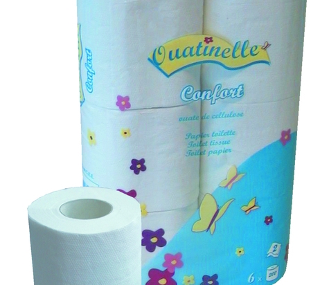 Papier toilette en rouleau domestique 200 formats Ouatinelle GLOBAL HYGIENE (96 rlx)