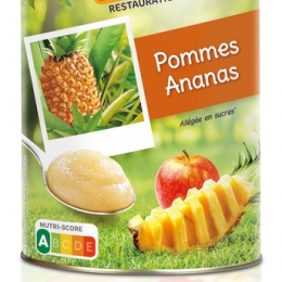 Specialite pomme-ananas allegee boite 5/1 CHARLES ET ALICE