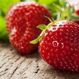 Fraise 500 gr