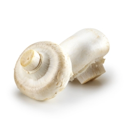 ChampIgnon Pied Coupe ** Bio ** Cat 1 (au colis de 3 kg)