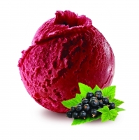 Sorbet cassis BIO 2.5L x1