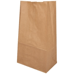 Sac SOS papier kraft brun [250x150x430] [250]