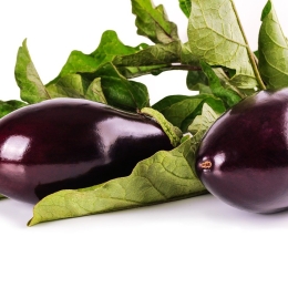 Aubergine Cat 1 (au kg/au détail)