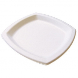 Assiette pulpe 17x17mm *300