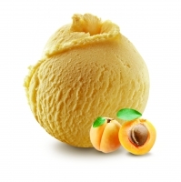 Sorbet abricot BIO 2.5L x1