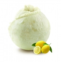 Sorbet citron BIO 2.5L x1