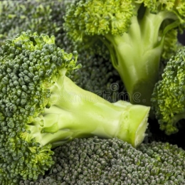 Brocoli ** Bio ** Cat 1 (au colis de 8 kg)